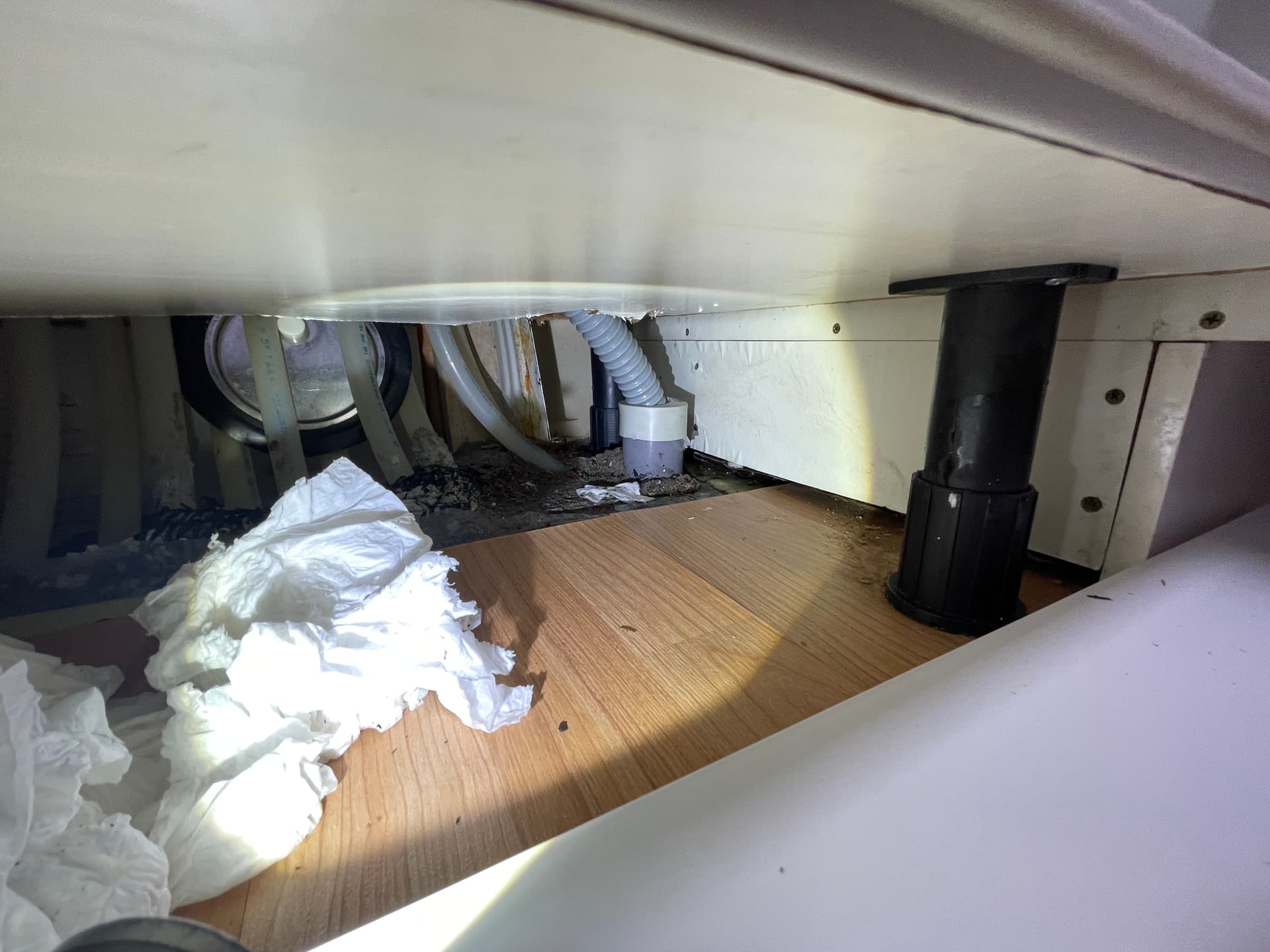 금암동 변기뚫는집 🧽 꽉 막힌 변기 시원하게! 전주 금암동 긴급 출동 💨