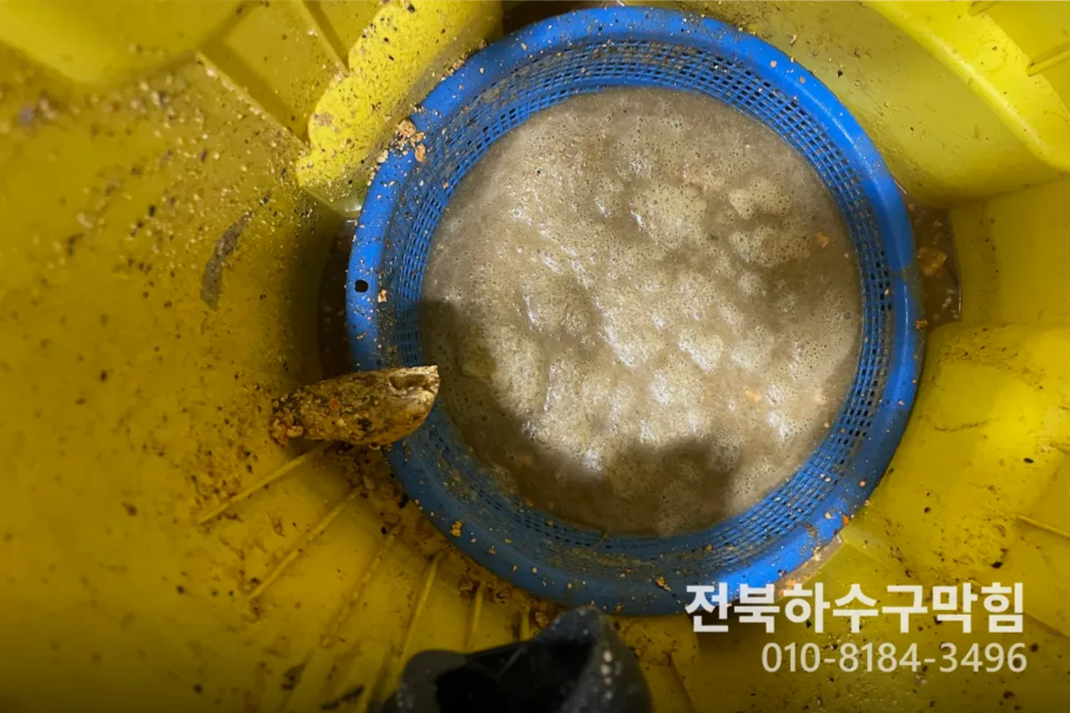 전주시 효자동 하수구막힘 하수구역류 작업 전 배관 상태 진단 (1시간)