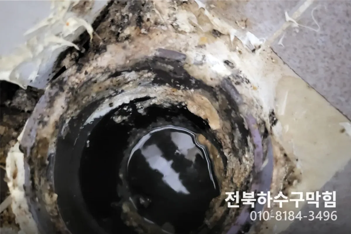 전주시 삼천동 누수탐지 전문 장비 투입 작업 중 (30분)