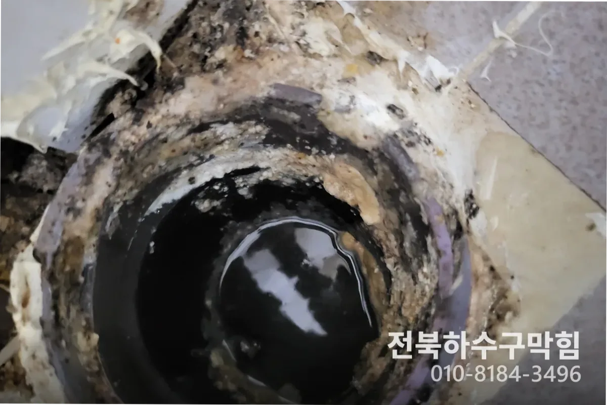 전주시 효자동 배관수리 전문 장비 투입 작업 중 (효자동배관수리)