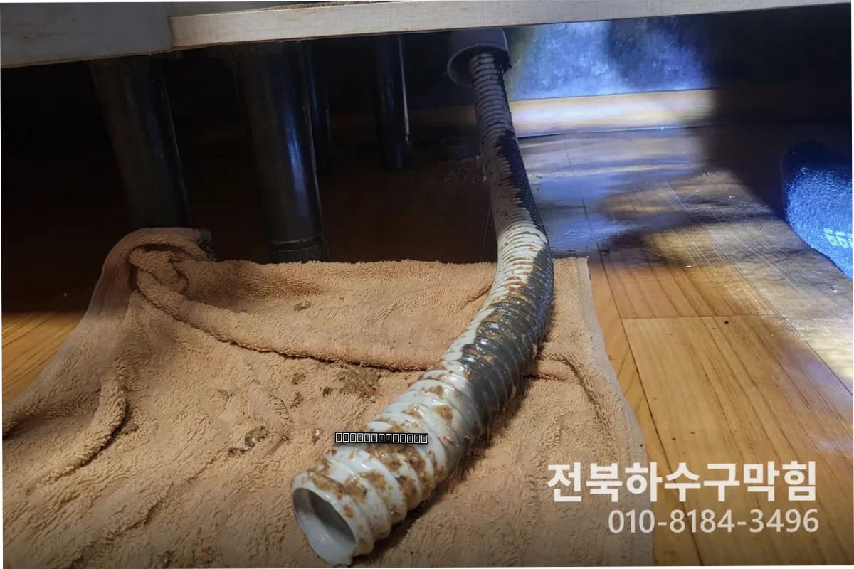 진안 원룸 배관청소 업체 어디가 나을까요?