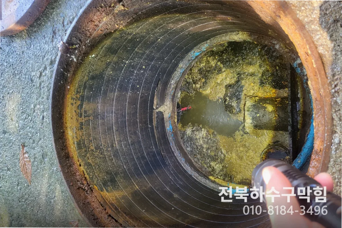 군산시 나운동 변기막힘 전문 장비 투입 작업 중 (100)