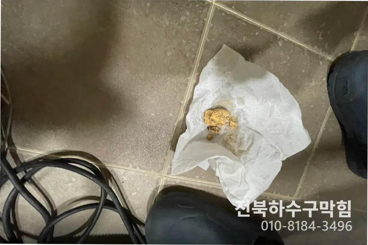 군산시 미성동 변기막힘 전문 장비 투입 작업 중 (변기수리)