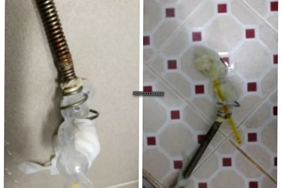 순창 변기뚫는법 변기막힘 비용