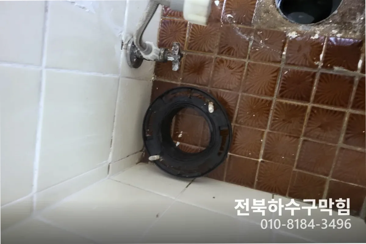 익산시 영등동 변기막힘 작업 전 배관 상태 진단 (30분)