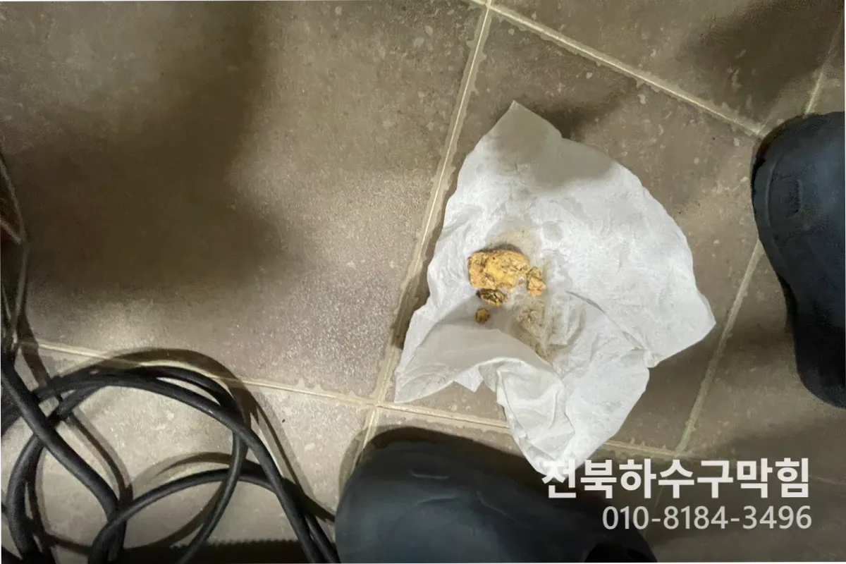 전주시 송천동 변기막힘 작업 완료 후 정상 배수 확인 (변기뚫는법)