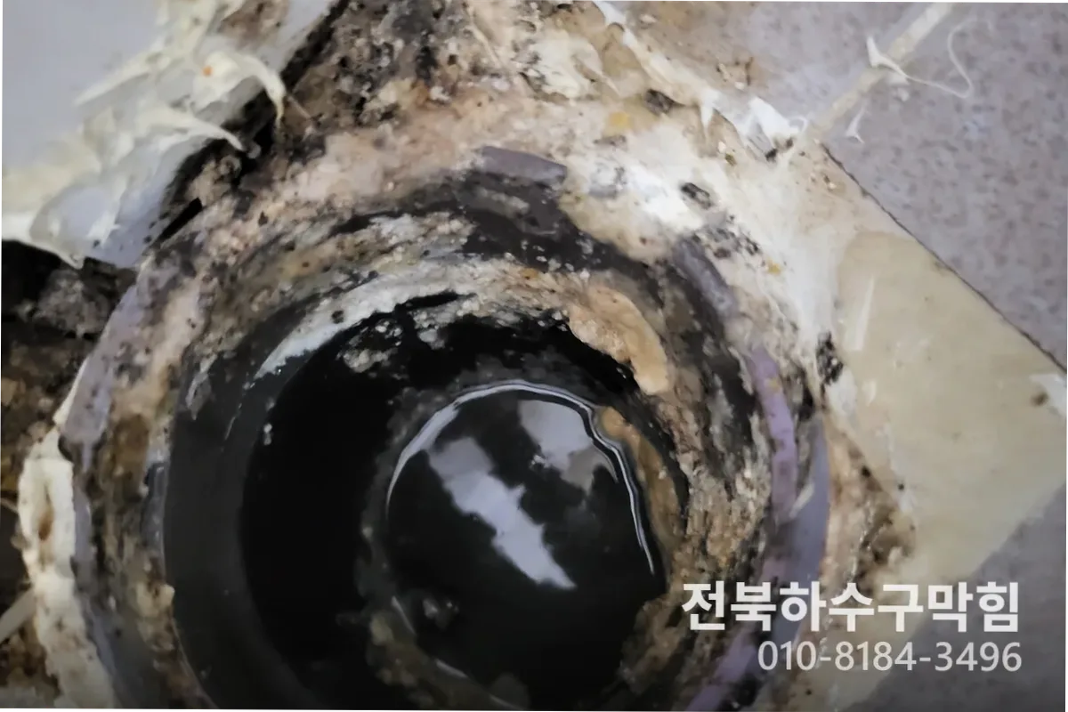 전주시 팔복동 변기막힘 작업 전 배관 상태 진단 (4번)